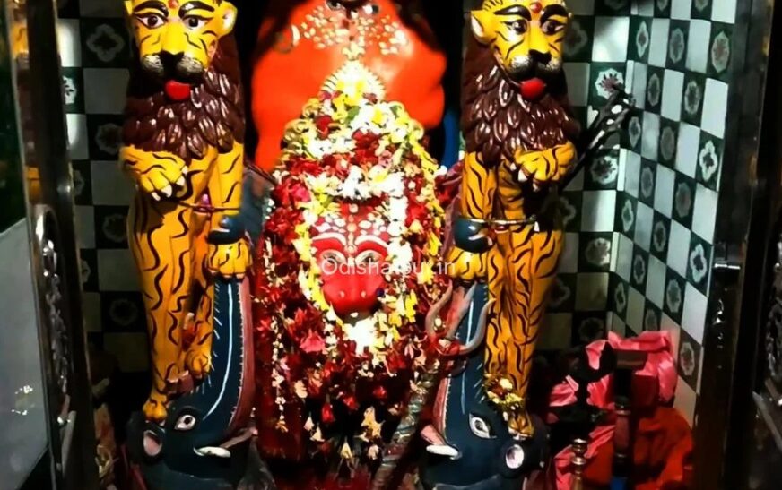 Maa Byaghra devi Temple: A Guide To What To Know Before You Go [Updated-2025]